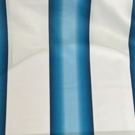 Camiseta Argentina Mundial 2026